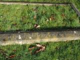 image of grave number 723897